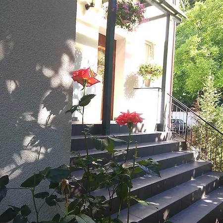 ホームステイ Kamionka ソポト